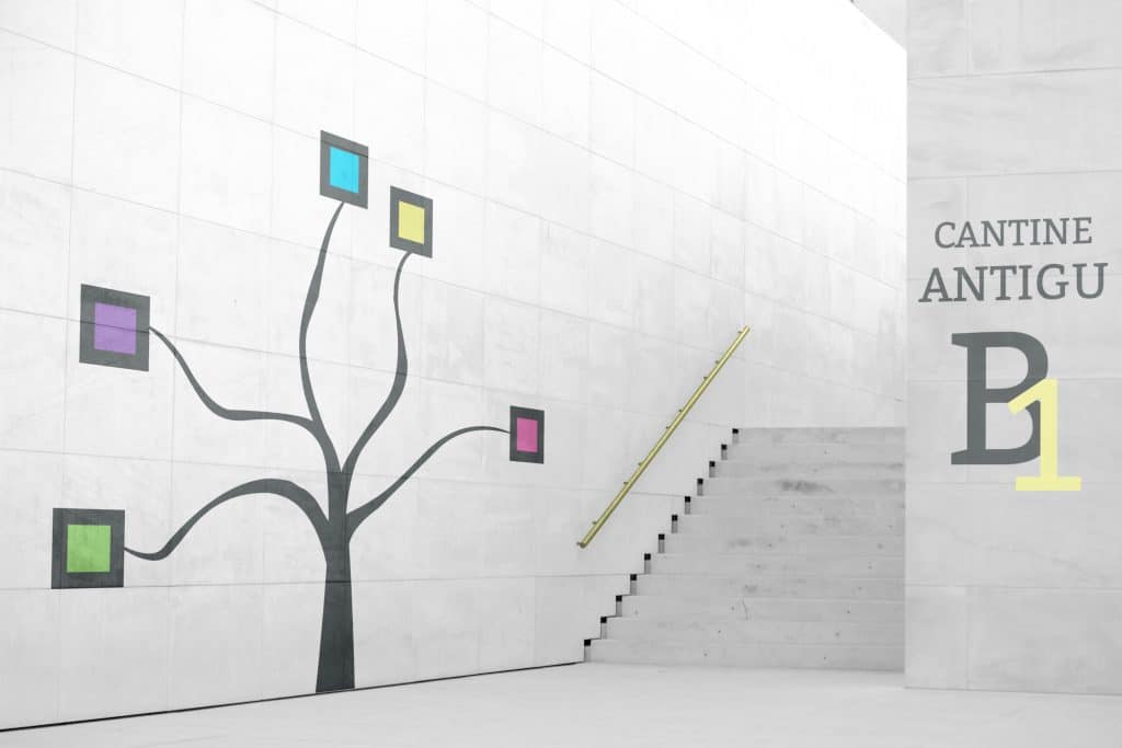 brand identity catine antigu